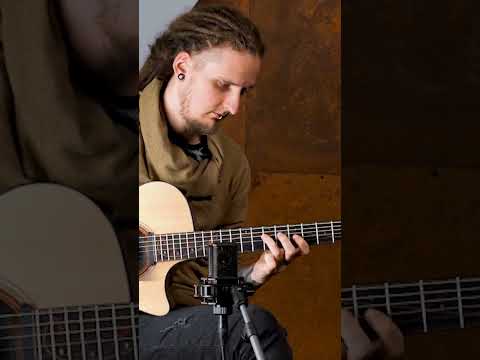 Мікрофон універсальний Lewitt LCT 441 FLEX