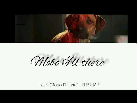"Mobo I'll there" lyrics - PUP STAR