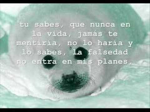 falsa alarma- desde mi ventana