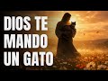¿Por Qué Dios Te Mandó un Gato?🐱❤️ Mensaje del Cielo