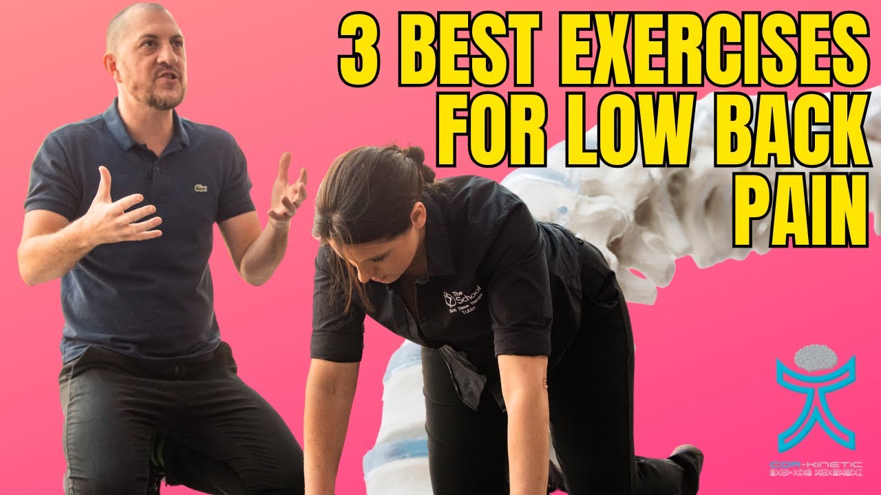 3 best exercises to fix low back pain!