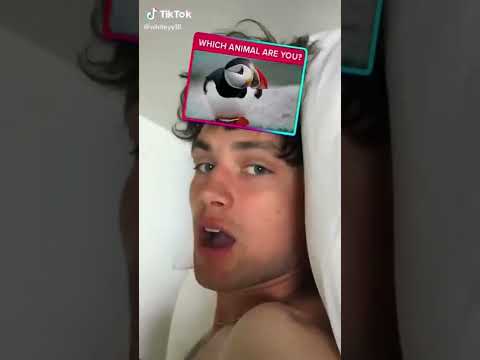 MAY 2021 TikTok William White 05242021 original sound   jonathan mcvie