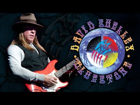 David Shelley & Bluestone - Fallen Rain