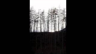 Fabrizio Cacciamali - Kobalt Trees