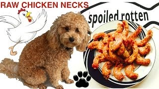 How to make RAW CHICKEN NECKS FOR DOGS DIY RAW Dog Food - a tutorial by Cooking For Dogs