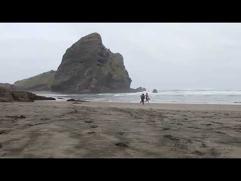 3 AM Rescue Mission! My Cat Mittens is a Hero! 🐾