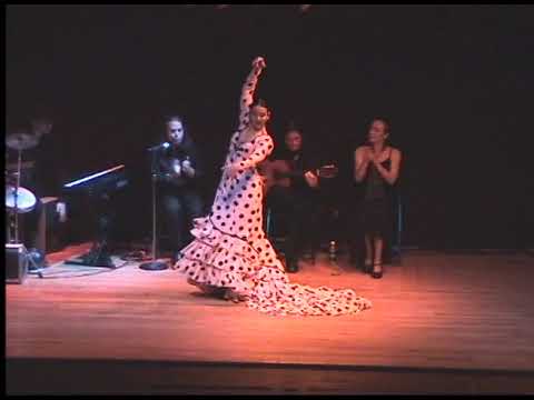 excerpt Meira Goldberg alegrías Boston 2005 flamenco VTS 09 1 copy