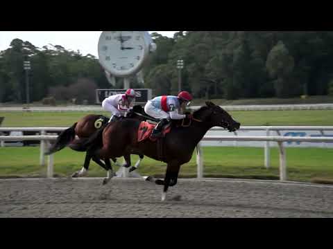 220709 c03 SOY UN MILAGRO