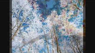 Proem - Shelter Is A Tree