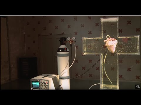 José Antonio Hernández-Díez. No tinc por de cap mal