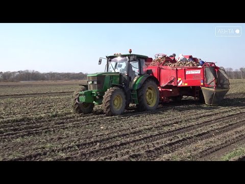 Урожай по осени считают