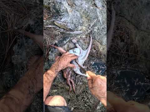 How To Dispatch An Octopus Quickly