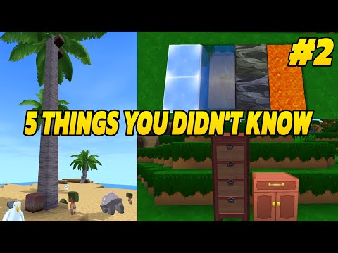 5 mind-blowing MiniWorld facts PART 2 ✨🔍