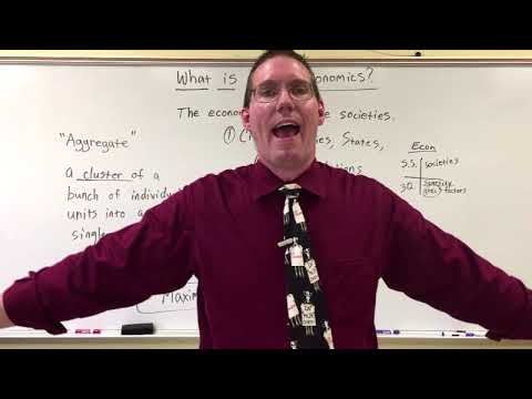 What is Macroeconomics? - Professor Ryan