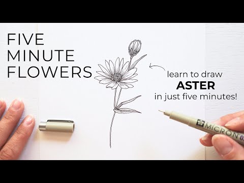 Five Minute Flowers ✿ ASTER | Learn to draw flowers with ink