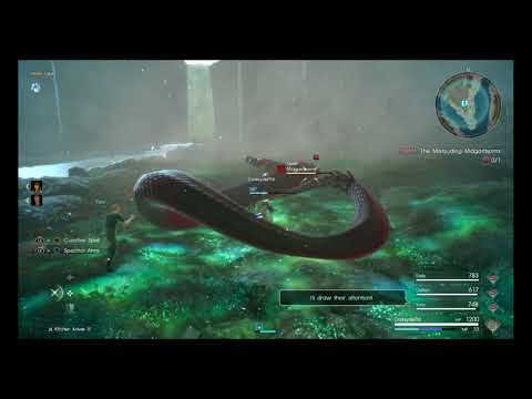 DSP Tries It: Fighting a Giant Snake