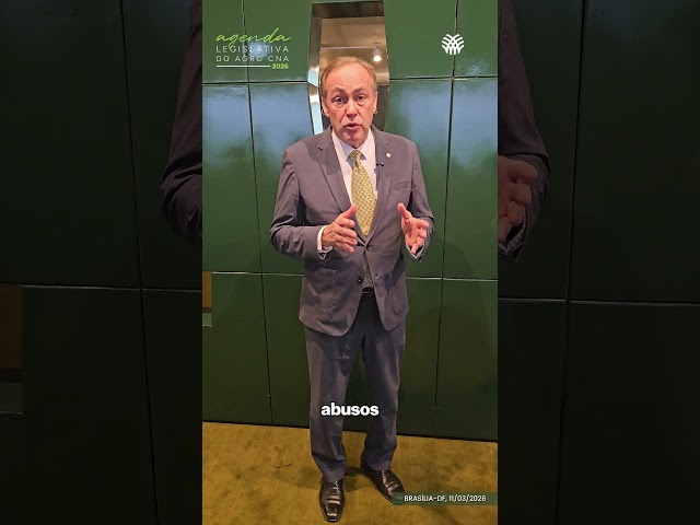 Reinholds Stephanes Júnior