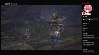 のんびりとアクティブするMHW