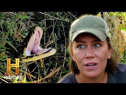 Swamp People: Serpent Invasion: HUGE Pythons Surrounding Cypress Strand (S4)