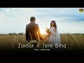Zaroor X Tere Bina Full Version 4k