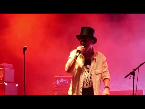 Pidżama Porno - CIESZFANÓW FESTIWAL  18-20 sierpnia 2022 roku