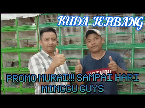 PROMO BESAR2AN!!! SETELAH BANGUN DR TIDUR PANJANG, HARGA RP 1,3 JT BEBAS PILIH... DR BONDOL - 17 CM.