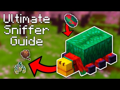 Ultimate Sniffer Minecraft Guide 1.20 l How to Find Sniffer Eggs l How To Breed Sniffers l