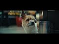 Il Cagnolino 2024 Conad