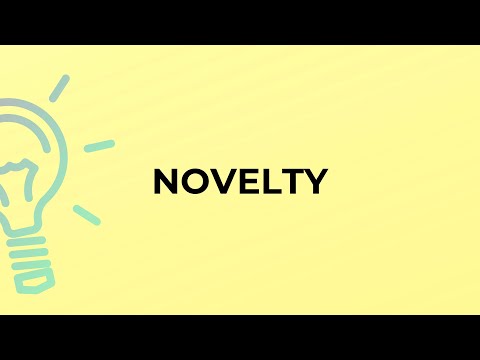 What is the meaning of the word NOVELTY?