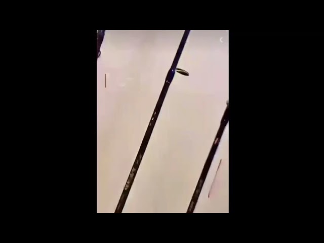 هولدر قصبات