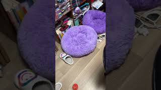 そこで寝たいです