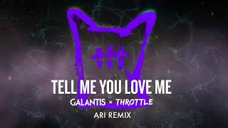 Galantis & Throttle - Tell Me You Love Me (Ari Remix)