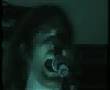 Winnebago Deal - Spider Bite