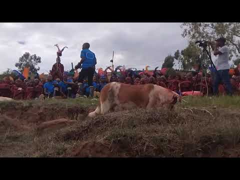 Makoloane a Ntate Matona December 2024 | Makoloane a Lesotho 2024/2025