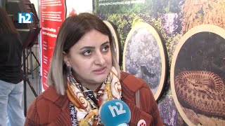 Մեկ ժամ մթության մեջ, որ լույսը չպակասի. Մոլորակի ժամը: Լրաբեր - 26.03.2022