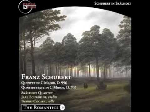Schubert: String Quintet in C major, D. 956 - (II) Adagio