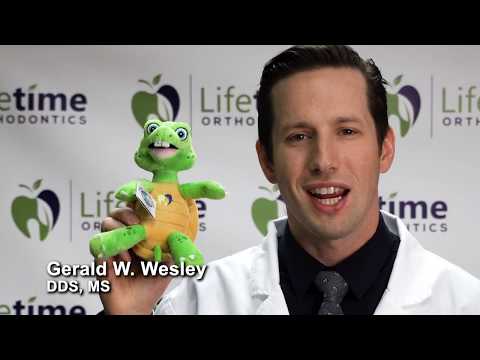 Go With All Your Smile Foundation