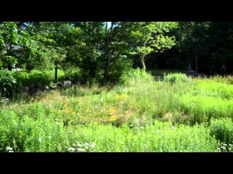 IMS Forest Refuge                 Barre, MA