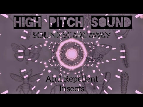 HIGH PITCH SOUND - KEEP AWAY MICES, ANTS, INSECTS, RATS,  SPIDERS..... Anti Mites Repellent Sound!