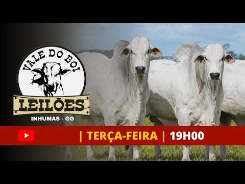 VALE DO BOI LEILOES - INHUMAS GO  - LEILAO VIRTUAL E PRESENCIAL -22 DE  SETEMBRO 2026