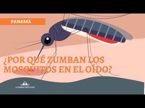Why do mosquitoes buzz in your ear?