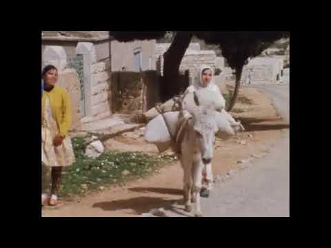 ספרי תמה (בת תימן) - אופירה גלוסקא (קליפ, 1973)