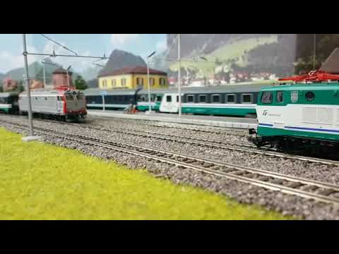 Treno notte E403 shorts