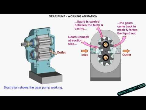 Gear Pump Working Animation