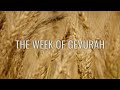 Counting The Omer 5782 2022 Week Two Gevurah Strength