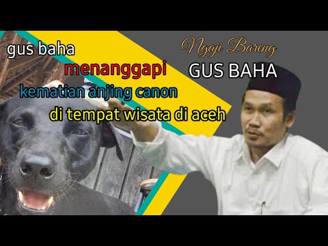 gus baha,kematian anjing kanon di aceh