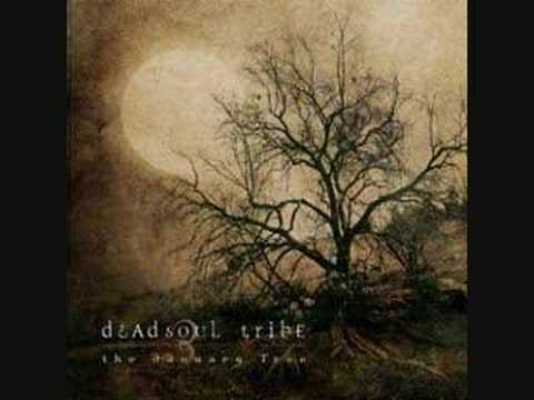 Dead soul tribe- Spiders and flies