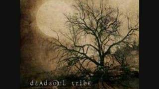 Dead soul tribe- Spiders and flies