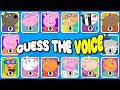 Peppa Pig Voice Quiz Can You Guess Them All Hard Quiz DingDong