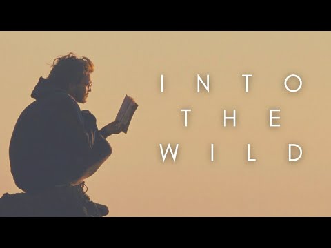 The Beauty Of Into The Wild